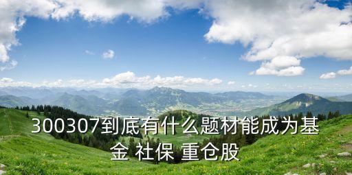 社保喜歡重倉(cāng)的股票,社?；鹬貍}(cāng)股票好不好