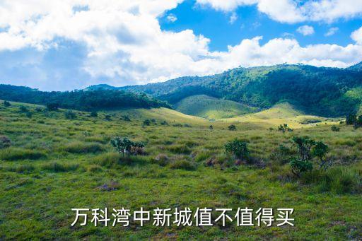  萬(wàn)科灣中新城值不值得買(mǎi)