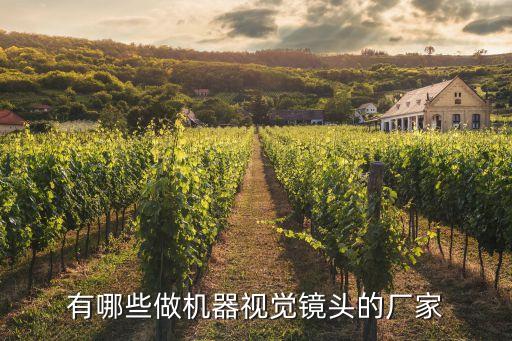 有哪些做機(jī)器視覺(jué)鏡頭的廠(chǎng)家