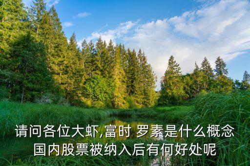 請(qǐng)問各位大蝦,富時(shí) 羅素是什么概念國內(nèi)股票被納入后有何好處呢