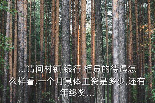...請(qǐng)問村鎮(zhèn) 銀行 柜員的待遇怎么樣看,一個(gè)月具體工資是多少,還有年終獎(jiǎng)...