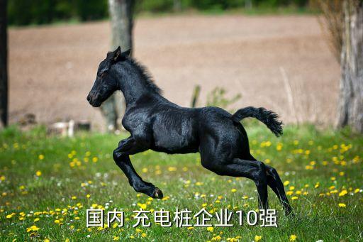 國內 充電樁企業(yè)10強