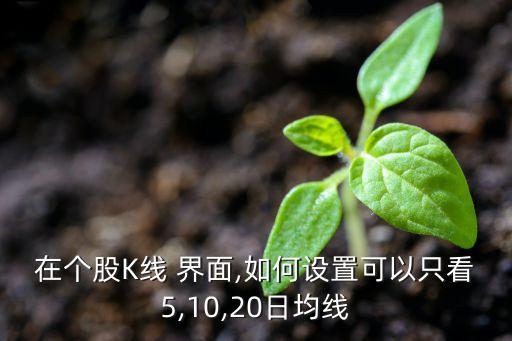 在個(gè)股K線(xiàn) 界面,如何設(shè)置可以只看5,10,20日均線(xiàn)