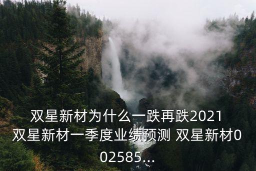  雙星新材為什么一跌再跌2021 雙星新材一季度業(yè)績預測 雙星新材002585...