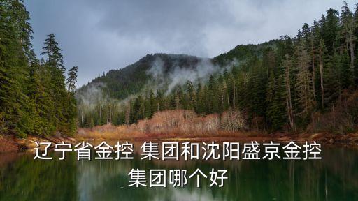  遼寧省金控 集團和沈陽盛京金控 集團哪個好