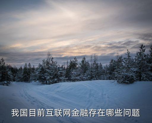 網(wǎng)絡(luò)銀行面臨的問(wèn)題,試述網(wǎng)絡(luò)銀行面臨的主要風(fēng)險(xiǎn)