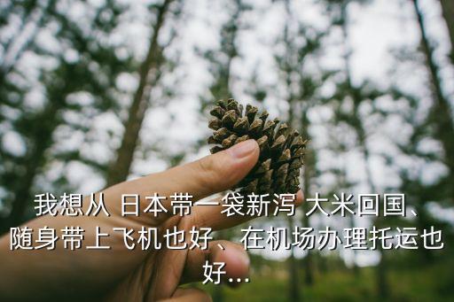 我想從 日本帶一袋新瀉 大米回國、隨身帶上飛機也好、在機場辦理托運也好...