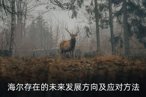  海爾存在的未來發(fā)展方向及應(yīng)對(duì)方法