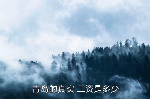 青島新興東方進(jìn)出口有限責(zé)任公司工資,中國(guó)新興廈門進(jìn)出口有限責(zé)任公司招聘