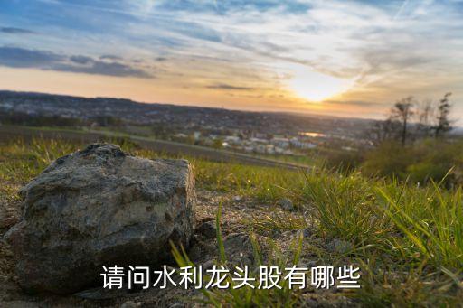 請(qǐng)問(wèn)水利龍頭股有哪些
