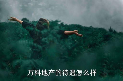 萬科集團總經理工資,杭州萬科集團總經理