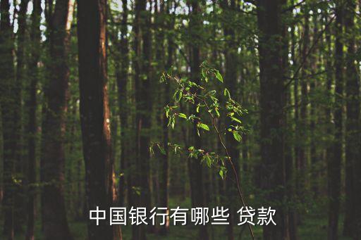  中國(guó)銀行有哪些 貸款
