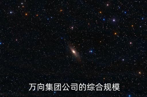 萬(wàn)向集團(tuán)凈資產(chǎn)