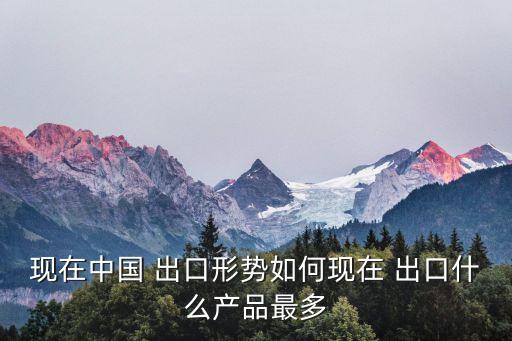 中國對外出口的產品