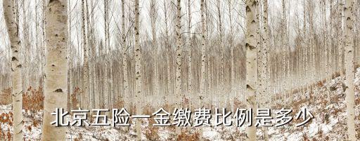  北京五險一金繳費(fèi)比例是多少