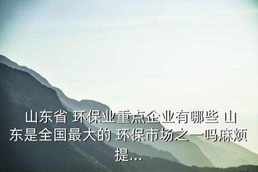 山東魯豐環(huán)?？萍加邢薰?山東綠之能環(huán)保科技有限公司