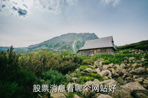 股票博客新浪財(cái)經(jīng)電腦版,新浪財(cái)經(jīng)股票首頁行情博客