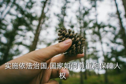 實施依法治國,國家如何尊重和保障人權