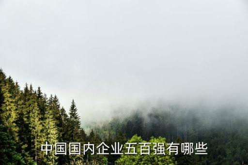 中國(guó)國(guó)內(nèi)企業(yè)五百強(qiáng)有哪些