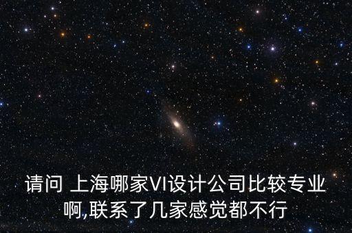 請問 上海哪家VI設計公司比較專業(yè)啊,聯系了幾家感覺都不行