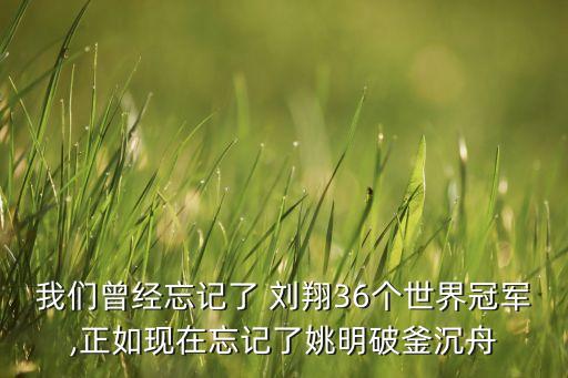 ?？导瘓F劉翔,中國交通集團 劉翔