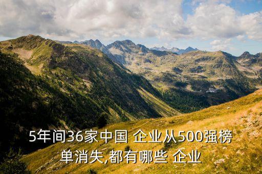 世界五百強(qiáng)中的中國民營企業(yè),中國第一個世界五百強(qiáng)民營企業(yè)
