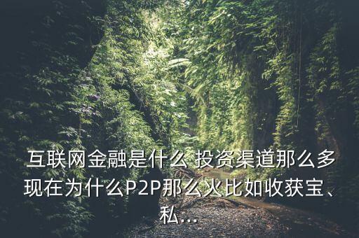  互聯(lián)網(wǎng)金融是什么 投資渠道那么多現(xiàn)在為什么P2P那么火比如收獲寶、私...