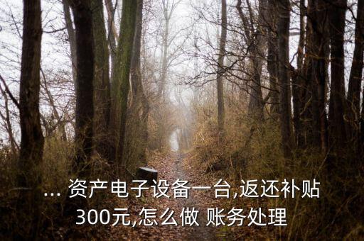 ... 資產(chǎn)電子設備一臺,返還補貼300元,怎么做 賬務處理