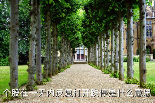 個股在一天內(nèi)反復(fù)打開跌停是什么意思