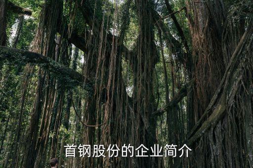 北京首鋼職工內退條件,企業(yè)女職工內退要符合什么條件