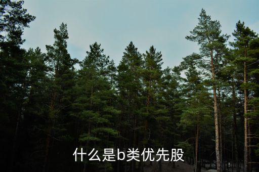 什么是b類(lèi)優(yōu)先股