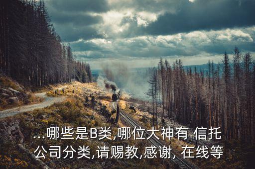 ...哪些是B類(lèi),哪位大神有 信托 公司分類(lèi),請(qǐng)賜教,感謝, 在線等