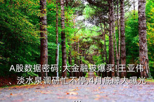 A股數(shù)據(jù)密碼:大金融被爆買!王亞偉、淡水泉調(diào)研忙不停,4月底牌大曝光...