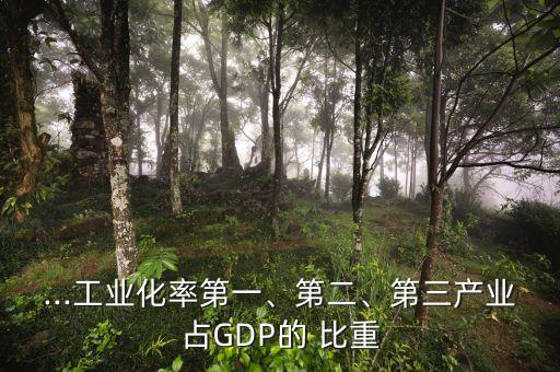 ...工業(yè)化率第一、第二、第三產(chǎn)業(yè)占GDP的 比重