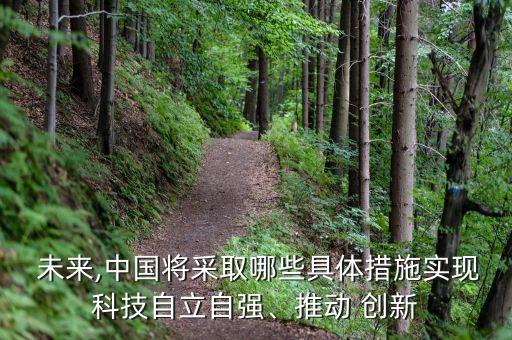  未來,中國將采取哪些具體措施實(shí)現(xiàn)科技自立自強(qiáng)、推動(dòng) 創(chuàng)新