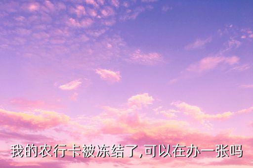 我的農(nóng)行卡被凍結了,可以在辦一張嗎