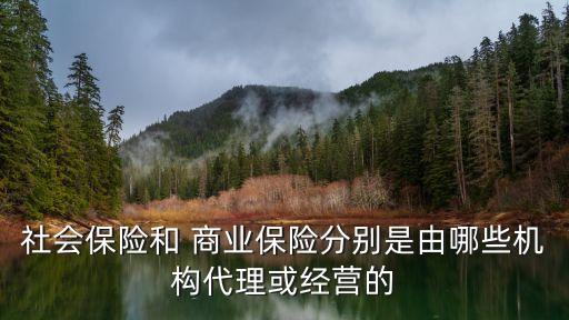 政府有負(fù)責(zé)商業(yè)保險跟保險公司