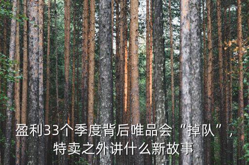 杉杉集團(tuán)董事長鄭學(xué)明