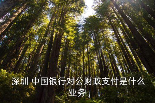  深圳 中國銀行對公財政支付是什么業(yè)務