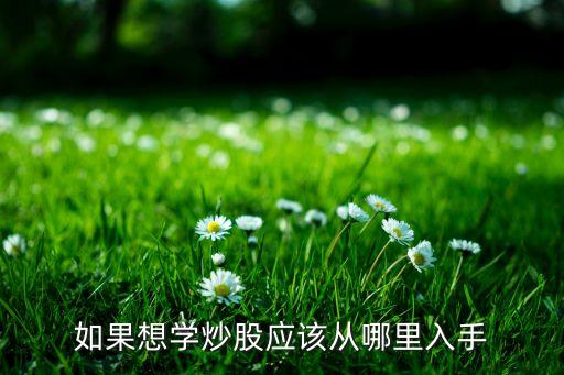 如果想學炒股應(yīng)該從哪里入手