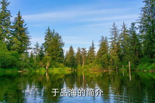 南?？毓善煜鹿?新城控股旗下公司有哪些
