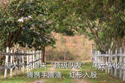 恒大汽車迎來“頂級隊友”,馬云馬化騰攜手滴滴、紅杉入股