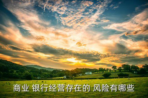 商業(yè) 銀行經(jīng)營存在的 風(fēng)險(xiǎn)有哪些