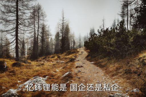 億緯鋰能是 國(guó)企還是私企