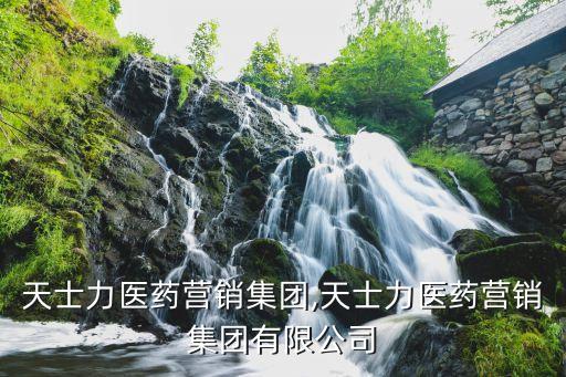 天津天士力醫(yī)藥營(yíng)銷集團(tuán),天士力醫(yī)藥營(yíng)銷集團(tuán)有限公司