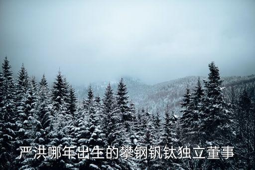 嚴(yán)洪哪年出生的攀鋼釩鈦獨立董事