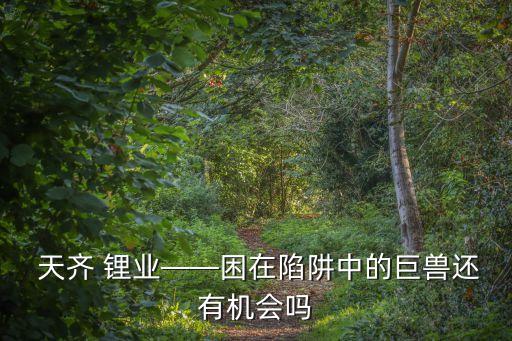 天齊鋰業(yè)公司簡介,2023鋰價(jià)格最新價(jià)格走勢(shì)