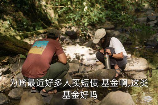 為啥最近好多人買(mǎi)短債 基金啊,這類 基金好嗎