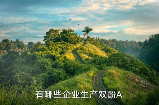 有哪些企業(yè)生產雙酚A