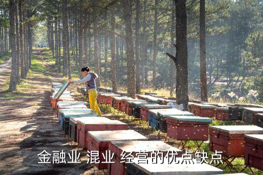 金融業(yè) 混業(yè) 經營的優(yōu)點缺點